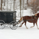 Illustration for article titled Amish Teen Leads Cops on Drunken Buggy Chase